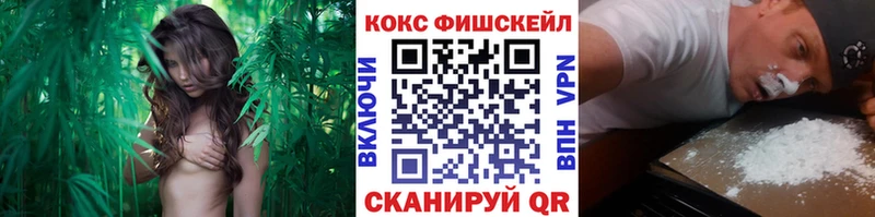 даркнет как зайти  Заринск  Кокаин Колумбийский 