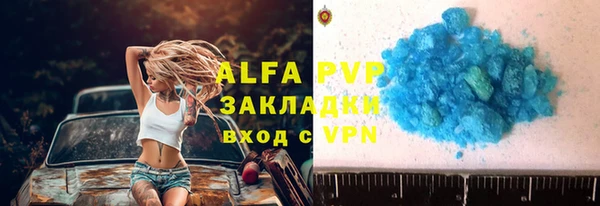 индика Баксан
