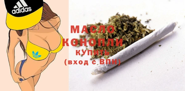 индика Баксан