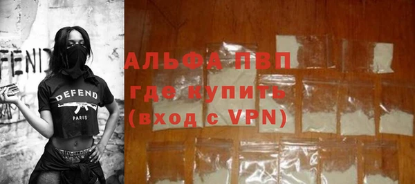 индика Баксан