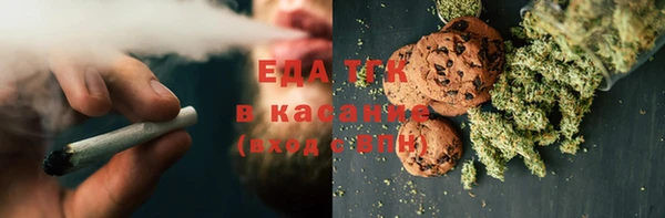 индика Баксан