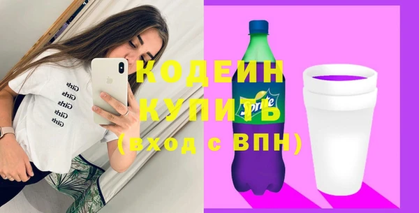 индика Баксан