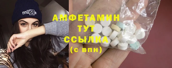 индика Баксан