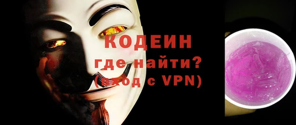 индика Баксан
