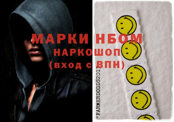индика Баксан