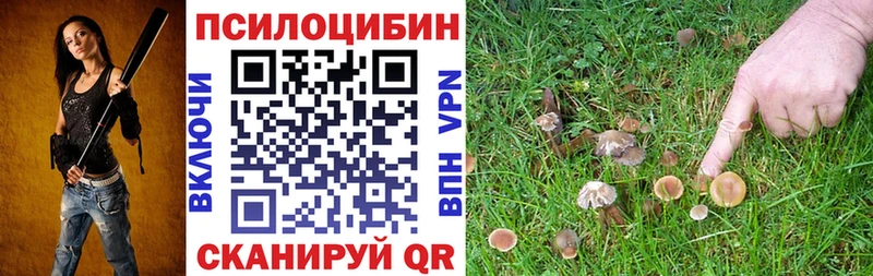Галлюциногенные грибы мицелий Заринск